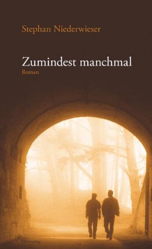 gebrauchtes Buch – Stephan Niederwieser – Zumindest manchmal