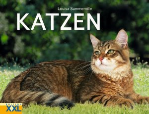 ISBN 9783897363410: Katzen