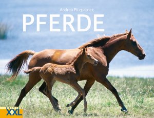 ISBN 9783897363427: Pferde