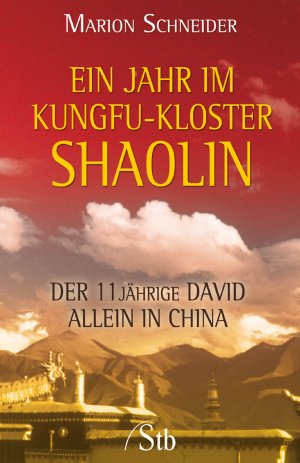 ISBN 9783897675193: Ein Jahr im Kungfu-Kloster Shaolin - der 11jährige David allein in China