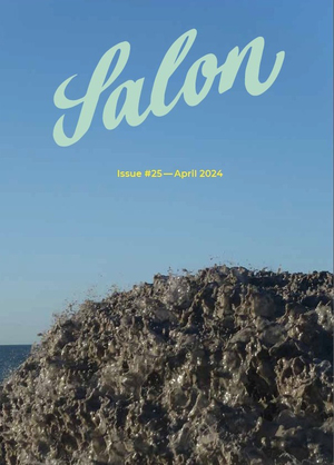 ISBN 9783897706002: Salon - Ein Magazin