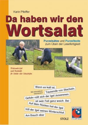 gebrauchtes Buch – Karin Pfeiffer – Da haben wir den Wortsalat, Lesen und Schreiben lernen, Schütteltexte