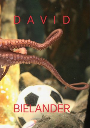 ISBN 9783897904873: David Bielander - Twenty Years. 2016-1996