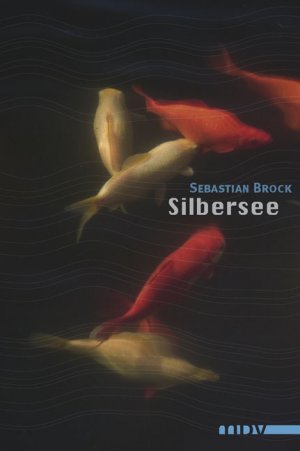 ISBN 9783898123860: Silbersee: Roman Roman