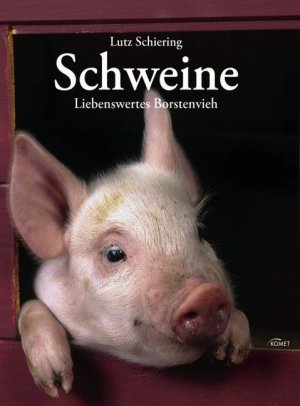 ISBN 9783898368094: Schweine