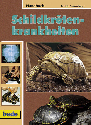 ISBN 9783898601108: Handbuch Schildkrötenkrankheiten / Schildkröten - Krankheiten. Vorbeugen - Erkennen - Beheben - Nachsorgen