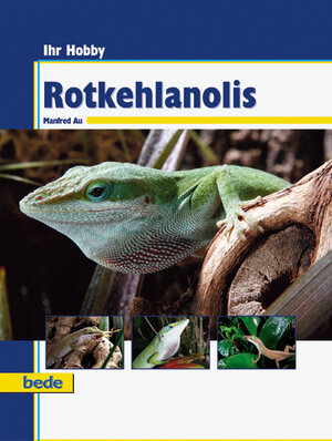 ISBN 9783898601634: Rotkehlanolis