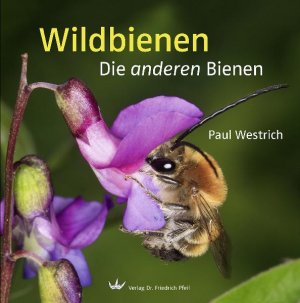 ISBN 9783899371369: Wildbienen - Die anderen Bienen