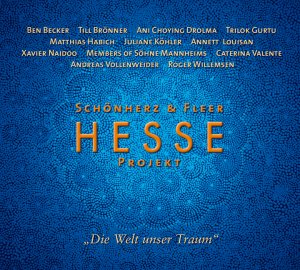 gebrauchtes Hörbuch – Hesse Projekt