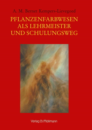 ISBN 9783899793383: Pflanzenfarbwesen als Lehrmeister und Schulungsweg