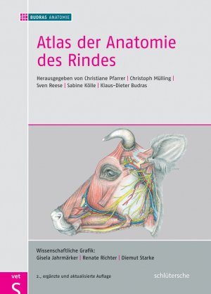 ISBN 9783899930900: Atlas der Anatomie des Rindes – Inklusive Supplement