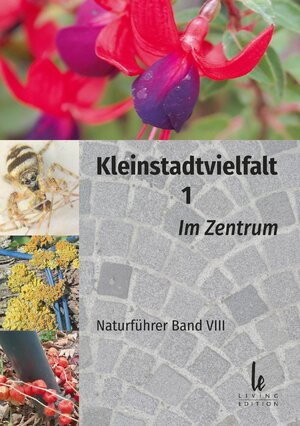 ISBN 9783901585388: Kleinstadtvielfalt 1 – Im Zentrum