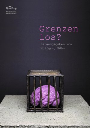 gebrauchtes Buch – Grenzenlos?: Anthologie