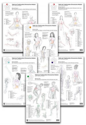 ISBN 9783902735713: Set von 6 Tafeln der Traditionellen Chinesischen Medizin