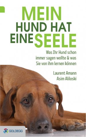 ISBN 9783902991362: Mein Hund hat eine Seele – Was Ihr Hund schon immer sagen wollte & was Sie von ihm lernen können