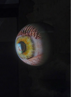 ISBN 9783903572416: Tony Oursler. SPECULAR