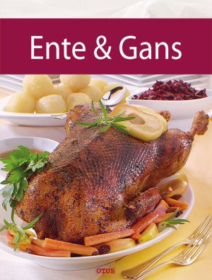 gebrauchtes Buch – Ente &amp; Gans