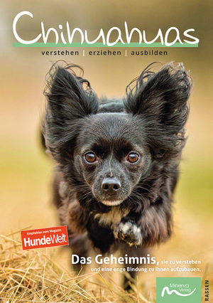 ISBN 9783910503090: Chihuahuas - verstehen | erziehen | ausbilden