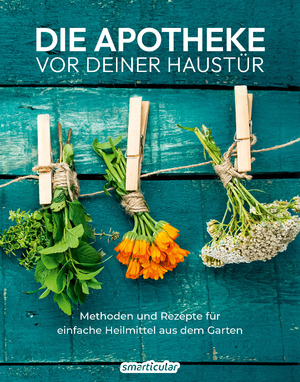 ISBN 9783910801110: Die Apotheke vor deiner Haustür | Methoden und Rezepte für einfache Heilmittel aus dem Garten | smarticular Verlag | Taschenbuch | Kostbare Natur | 176 S. | Deutsch | 2024 | smarticular