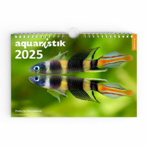 ISBN 9783911226011: aquaristik Kalender 2025