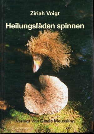 gebrauchtes Buch – Ziriah Voigt – Heilungsfäden spinnen - Ein Ritualweg im Jahreskreis