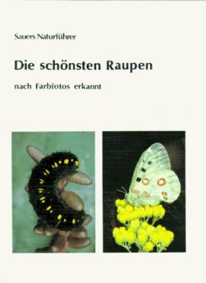 ISBN 9783923010196: Die schönsten Raupen