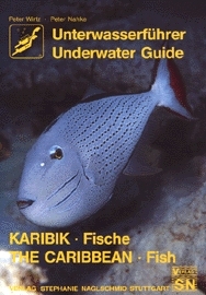 gebrauchtes Buch – Peter Wirtz – Unterwasserführer, Bd.5, Karibik, Fische (Edition Freizeit und Wissen: Unterwasserführer)