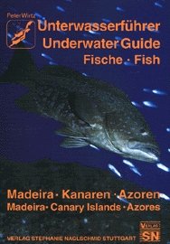 gebrauchtes Buch – Unterwasserführer, Bd.8, Madeira, Kanaren, Azoren, Fische Naglschmid, Friedrich and Wirtz, Peter – Unterwasserführer, Bd.8, Madeira, Kanaren, Azoren, Fische (Edition Freizeit und Wissen / Unterwasserführer) Naglschmid, Friedrich and Wirtz, Peter