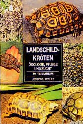 ISBN 9783927997417: Landschildkröten