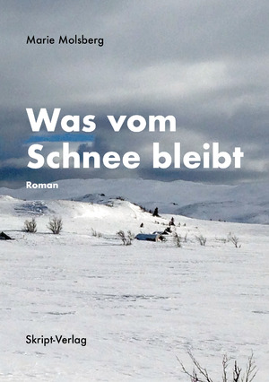gebrauchtes Buch – Marie Molsberg – Was vom Schnee bleibt