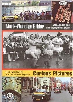 ISBN 9783928275873: Merk-würdige Bilder