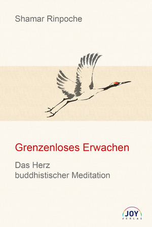 gebrauchtes Buch – Grenzenloses Erwachen: Das Herz buddhistischer Meditation – Grundlegende Unterweisungen zur Shine- und Lhagthong Praxis Rinpoche – Grenzenloses Erwachen: Das Herz buddhistischer Meditation – Grundlegende Unterweisungen zur Shine- und Lhagthong Praxis Rinpoche, Shamar