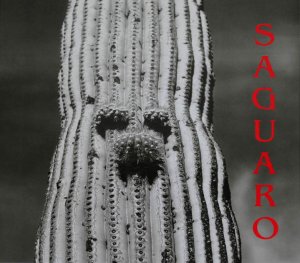 ISBN 9783928749268: Saguaro