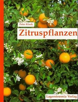 ISBN 9783929248036: Zitruspflanzen