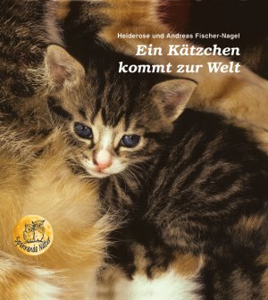 ISBN 9783930038053: Ein Kätzchen kommt zur Welt