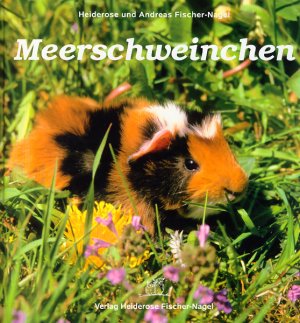 ISBN 9783930038237: Meerschweinchen