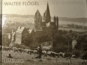 ISBN 9783930428366: Limburg - Leben in einer alten Stadt. Hrsg. von Peter Jentzmik.