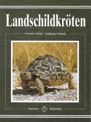 ISBN 9783931587024: Landschildkröten