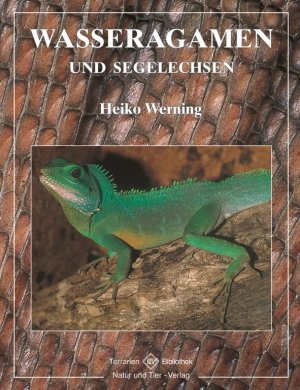 ISBN 9783931587581: Wasseragamen und Segelechsen