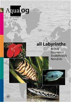 ISBN 9783931702212: Aqualog. Reference fish of the world / All Labyrinths - Bettas, Gouramis, Nandids