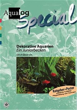 ISBN 9783931702380: Ein Juniorbecken