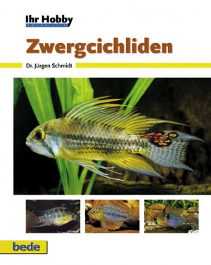 gebrauchtes Buch – Jürgen Schmidt – Zwergcichliden