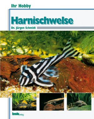 ISBN 9783931792671: Harnischwelse