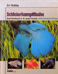 ISBN 9783931792763: Schleierkampffische