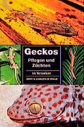 ISBN 9783931792947: Geckos - Pflegen und Züchten im Terrarium