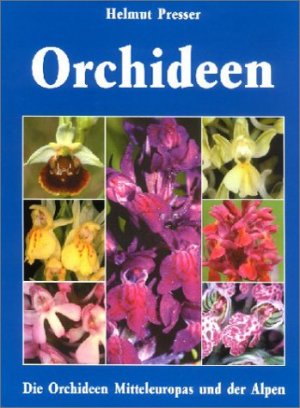 ISBN 9783933203540: Orchideen