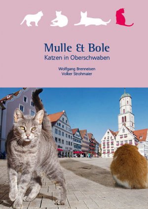 gebrauchtes Buch – Brenneisen, Wolfgang (Mitwirkender) und Volker Strohmaier – Mulle & Bole : im Katzenland zwischen Ulm und dem Bodensee.