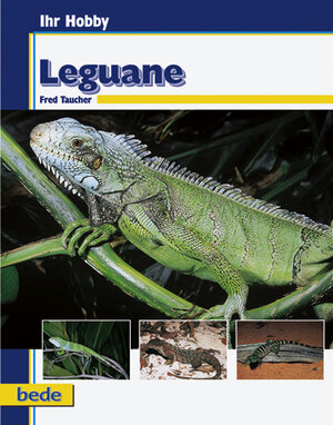 ISBN 9783933646187: Leguane, Ihr Hobby