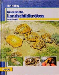 ISBN 9783933646200: Ihr Hobby Griechische Landschildkröten