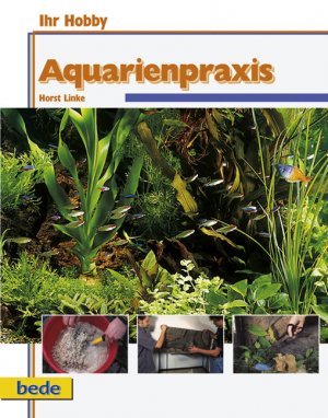 gebrauchtes Buch – Bernd Degen – Aquarienpraxis